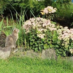 Meet your Posher, Karrie